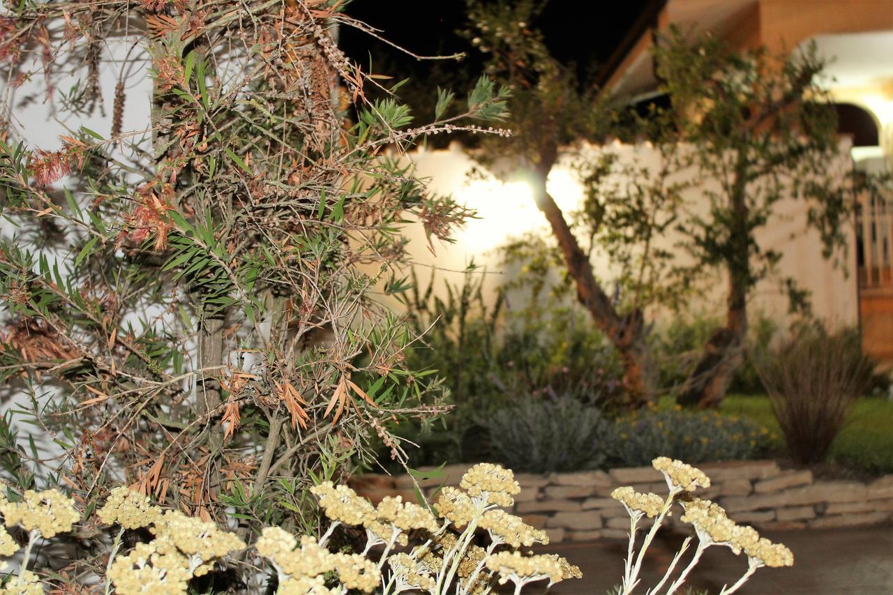 Emotions Bed & Breakfast Fiumicino Exterior foto