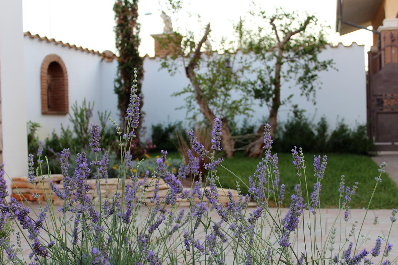 Emotions Bed & Breakfast Fiumicino Exterior foto
